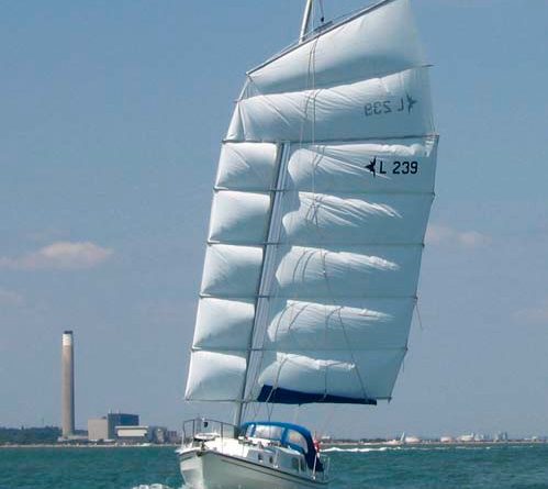 junk sail catamaran