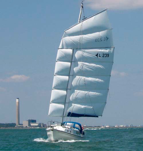junk sail catamaran